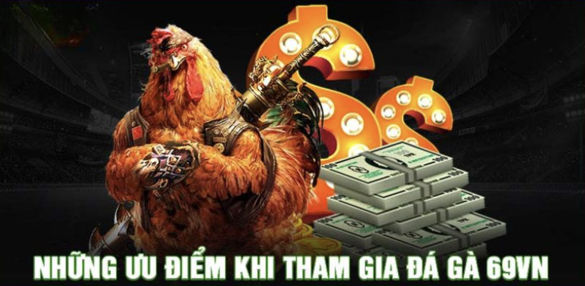 Extremely competitive online cockfighting odds at 69VN